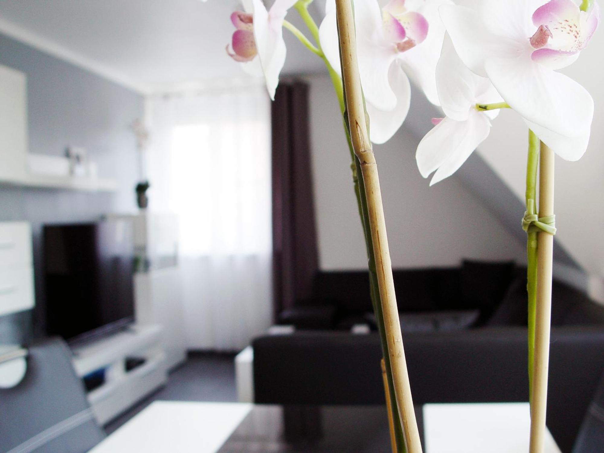 Ferienwohnung La Domus Premium Lotte Exterior foto